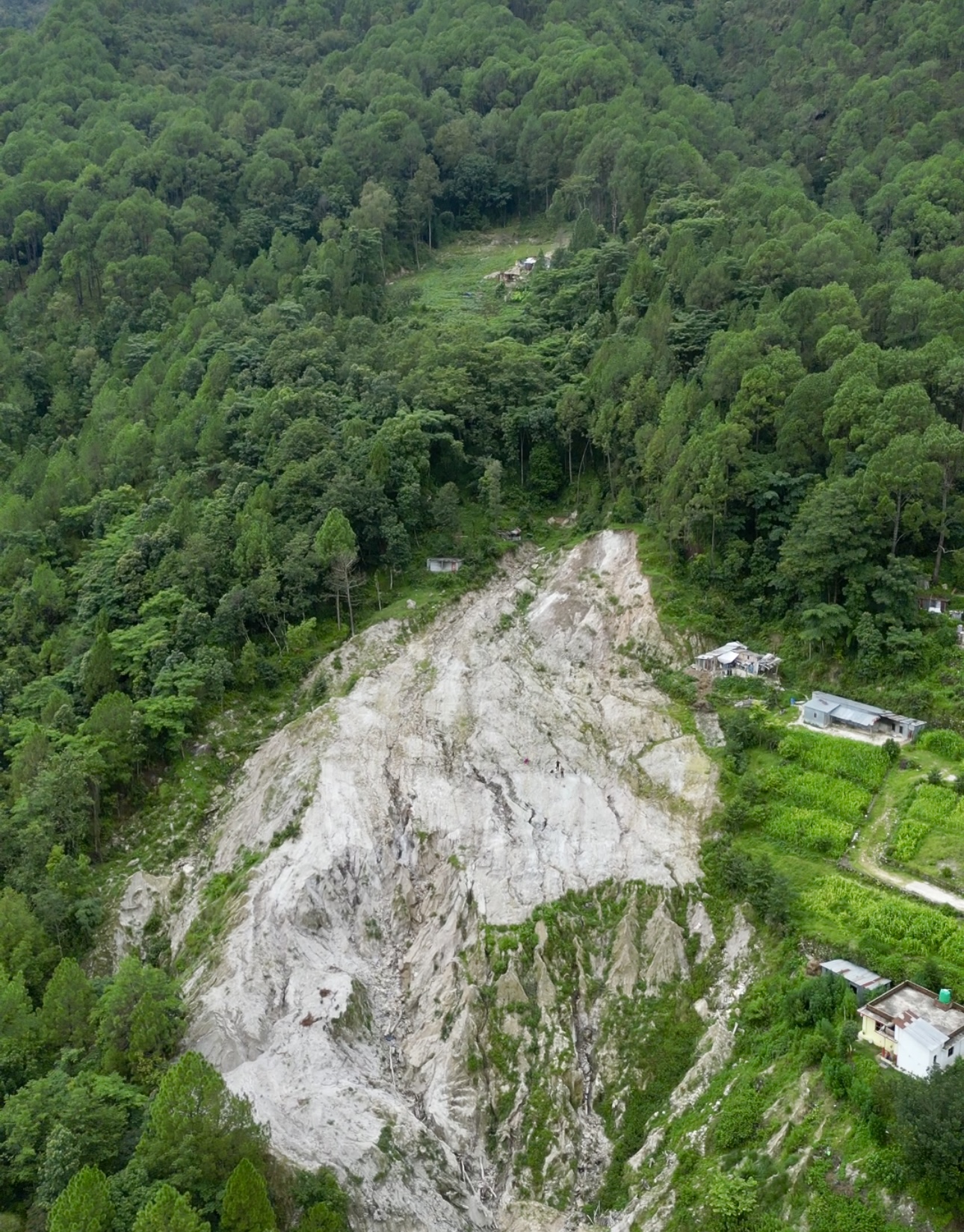 Picture of Tarkeshwor Municipality, Bagmati